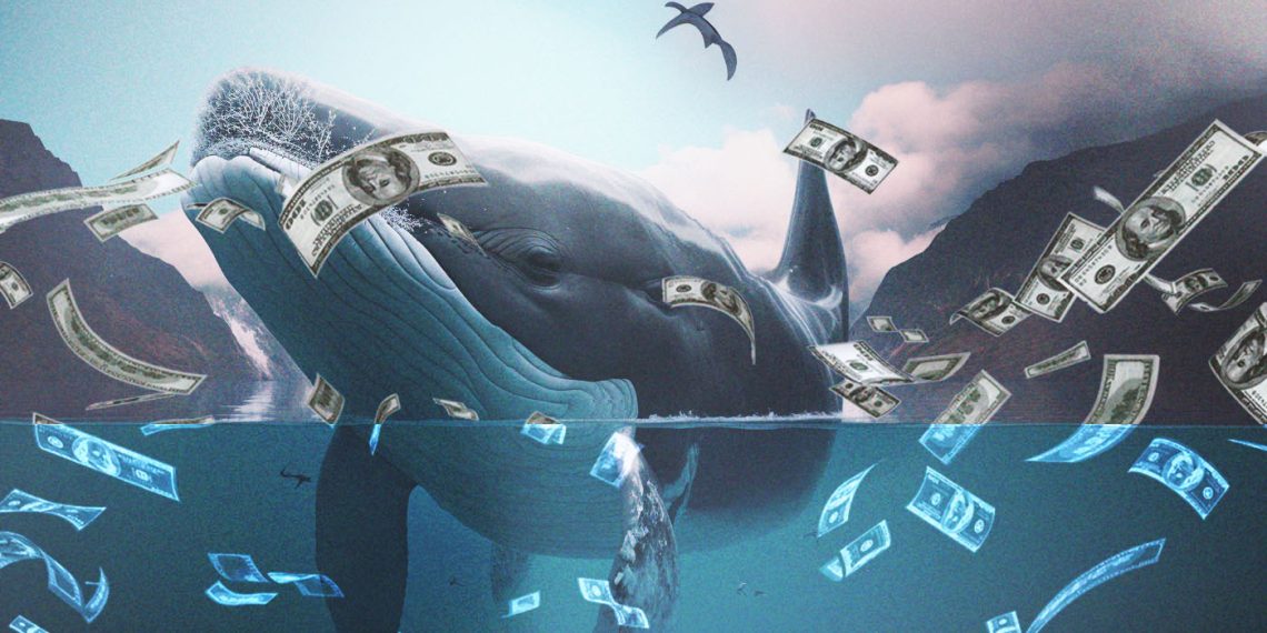 A Whale Sells 1010 NFTs In The Span Of Two Days!